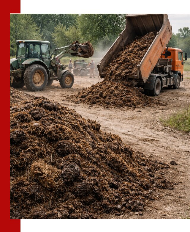 Доставка навоза самосвалами в Старом Осколе для сельхозпотребностей